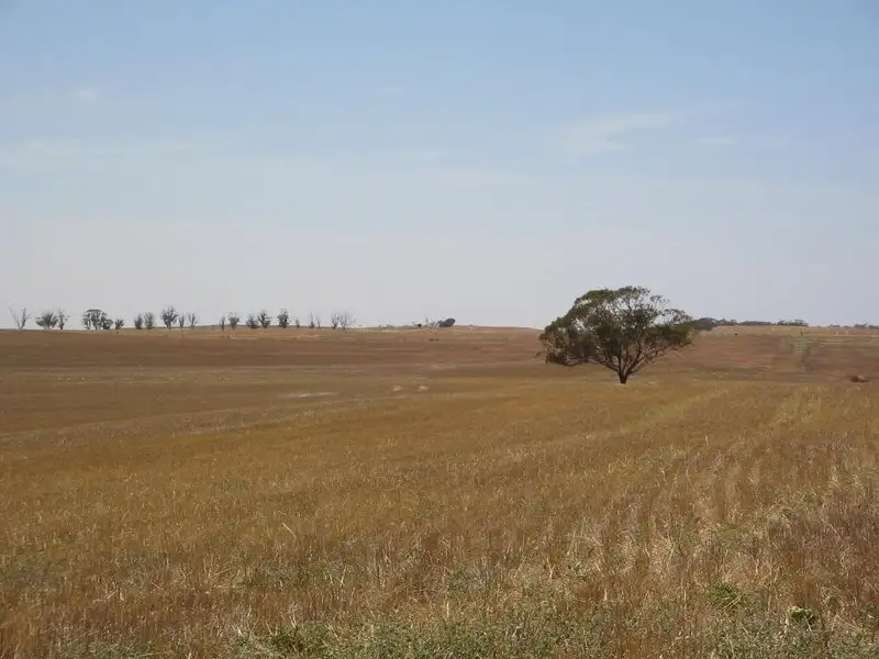 Main view of Homely rural property listing, Lot 7 Hayward Road, Lameroo SA 5302