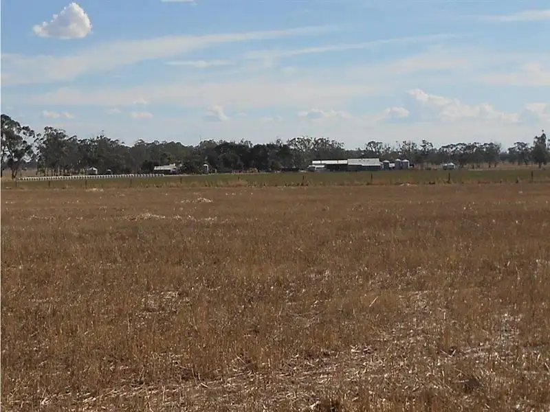 Main view of Homely rural property listing, 76 Billy Lane, Bordertown SA 5268