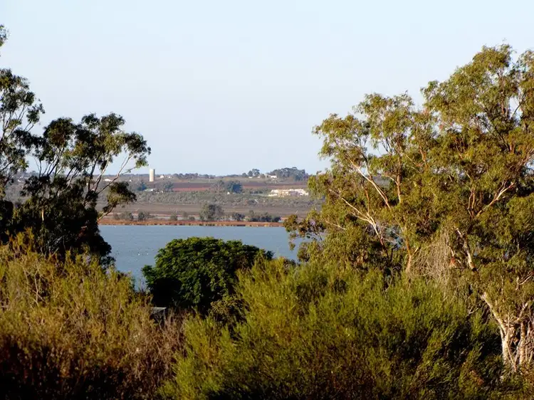 13 Farley Road, Kingston On Murray SA 5331