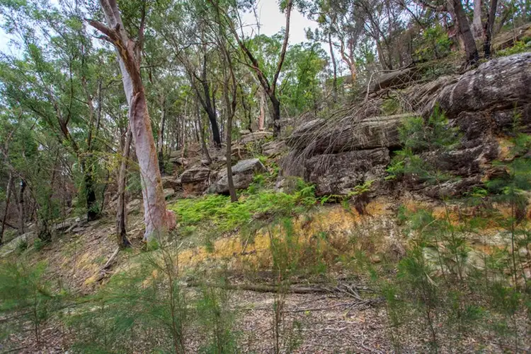 Sixth view of Homely land listing, 80a Manor Road, Hornsby NSW 2077