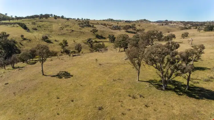Sixth view of Homely rural property listing, Lot 1, 205 Oakey Creek Road, Wallaroo NSW 2618