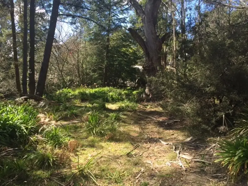 Main view of Homely land listing, 11 Victoria Street, Mount Victoria NSW 2786