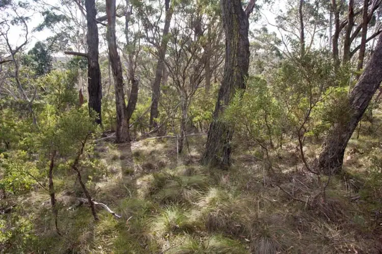 Block 11 - Lot 170 and 128 DP 16449 - 46 Godson Avenue, Blackheath NSW 2785