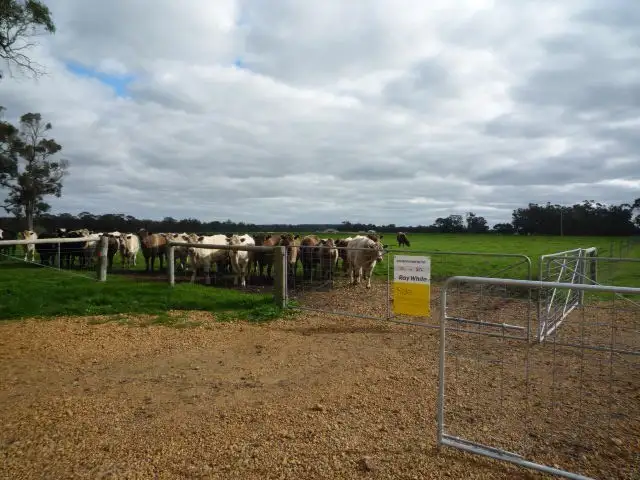 Third view of Homely land listing, Lot 103 Wilson Road, Mount Barker WA 6324