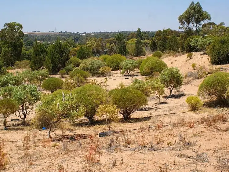 Third view of Homely land listing, Lot 81 Emu Road, Murray Bridge SA 5253