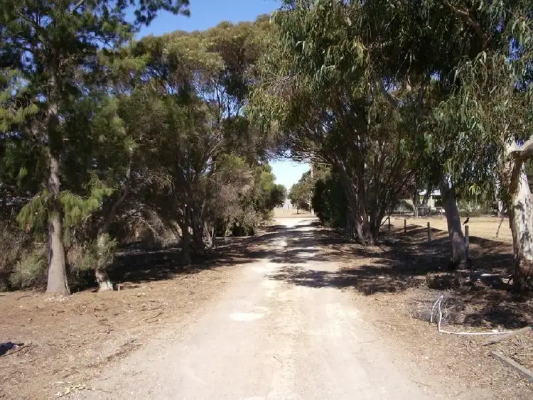 Third view of Homely rural property listing, 34 Punjum Road, Mundulla SA 5270