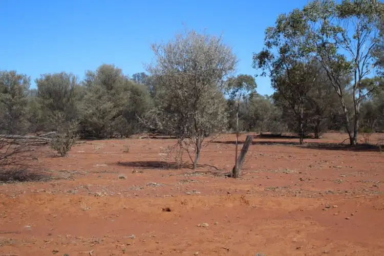 Third view of Homely rural property listing, 938 BOLLON Road, Charleville QLD 4470