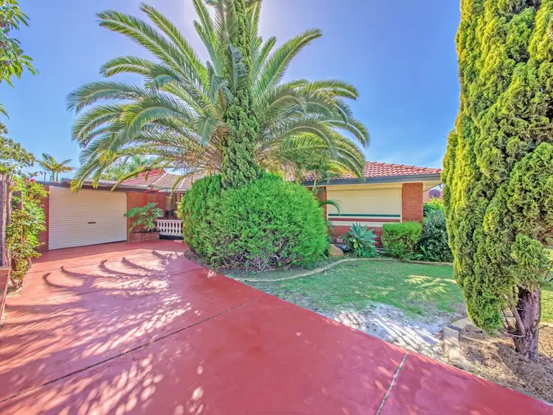 Main view of Homely house listing, 317 Alexander Drive, Dianella WA 6059