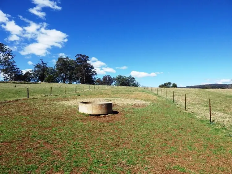 Seventh view of Homely rural property listing, 302 Cedar Log Road, Dorrigo NSW 2453
