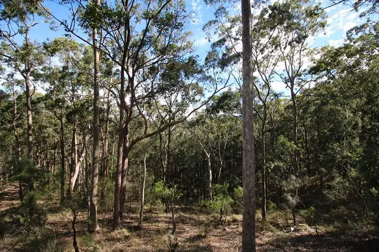 Fifth view of Homely rural property listing, Lot 153 Bellamy Street, Millfield NSW 2325