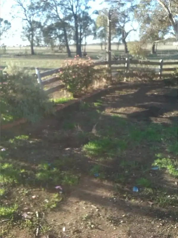 Seventh view of Homely house listing, 459 Charlton-Borung Road, Borung VIC 3518