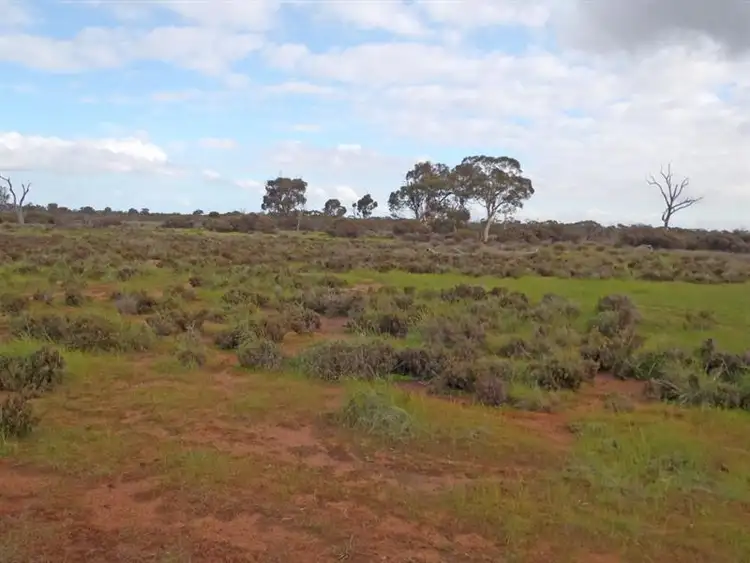 Third view of Homely rural property listing, L2559 Great Southern Highway, Piesseville WA 6315