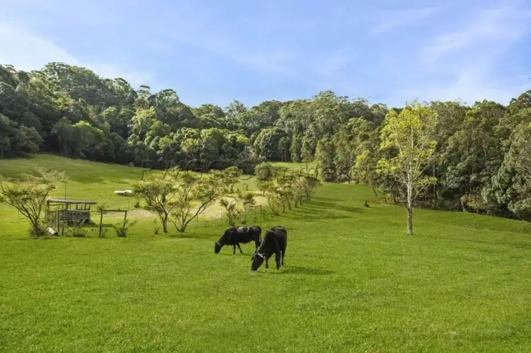 Second view of Homely rural property listing, 88 Burringbar Road, Burringbar NSW 2483