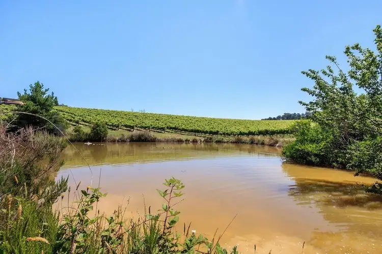 Sixth view of Homely rural property listing, 40 Howards Road, Panton Hill VIC 3759