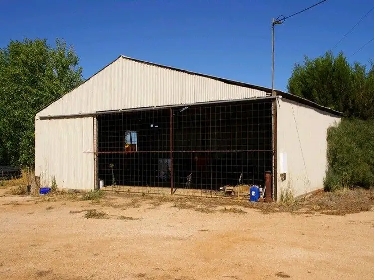 Third view of Homely rural property listing, 223 Loxton Road, Renmark SA 5341