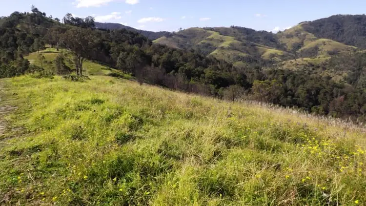 Third view of Homely rural property listing, Off Carrowbrook Road, Singleton NSW 2330