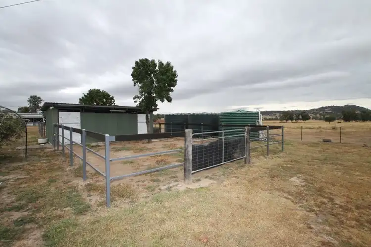 Seventh view of Homely rural property listing, 699 Kamilaroi Highway, Quirindi NSW 2343