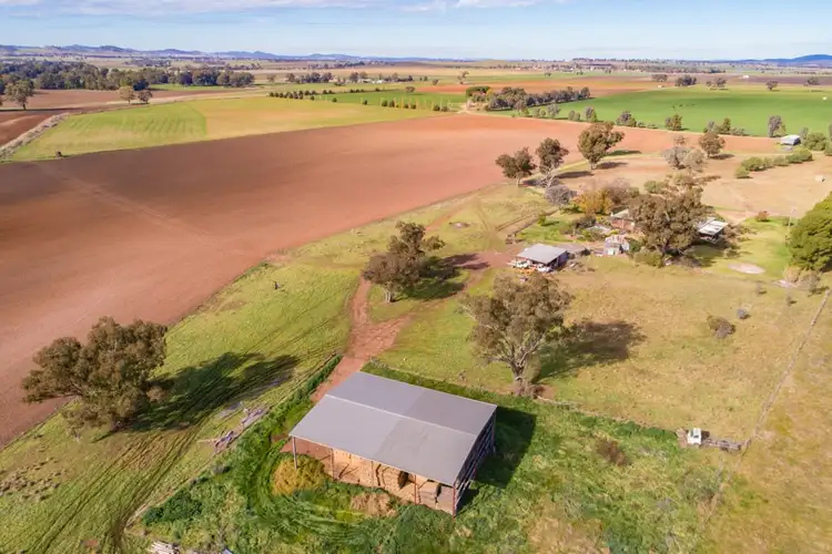 Fourth view of Homely rural property listing, 166 Settlement Bridge Road, Canowindra NSW 2804