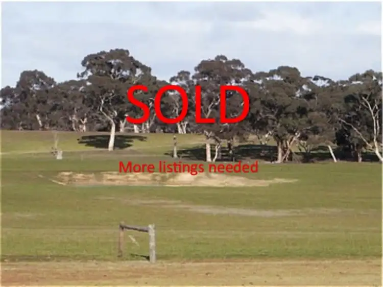 Main view of Homely rural property listing, 200 acres O'Connells Road, Bordertown SA 5268