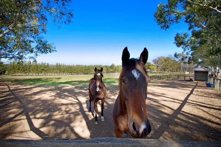 Fifth view of Homely rural property listing, 29 Nutmans Road, Grose Wold NSW 2753