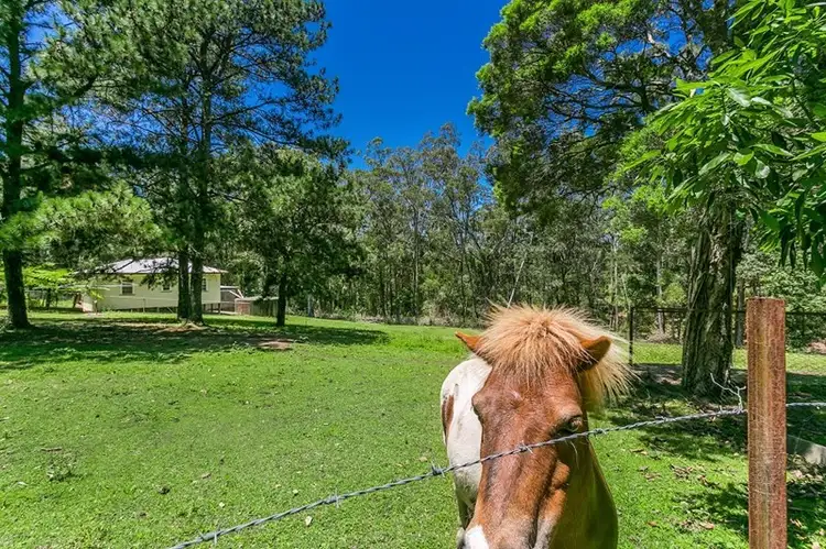 Fourth view of Homely house listing, 199 and 209 Borton Road, Tullera NSW 2480