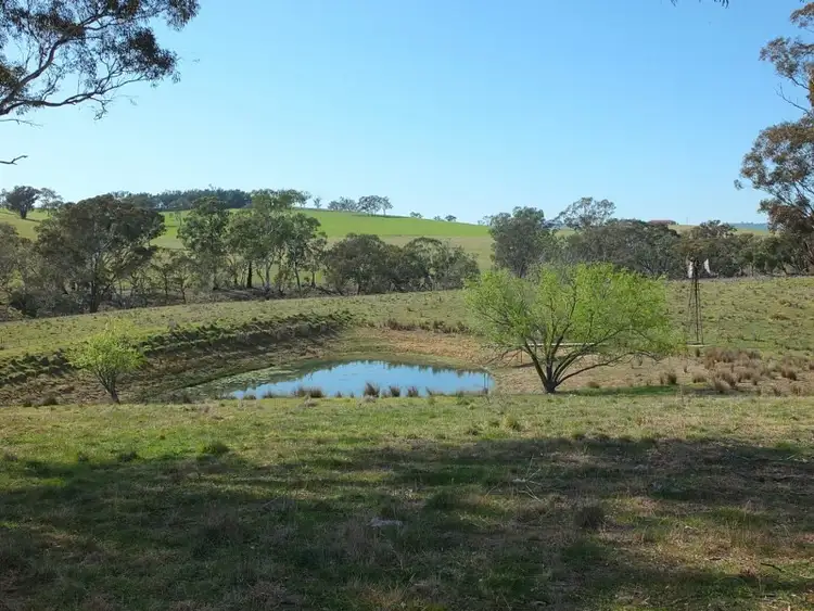 Fifth view of Homely rural property listing, 40 Bosworth Falls Road, O'connell NSW 2795
