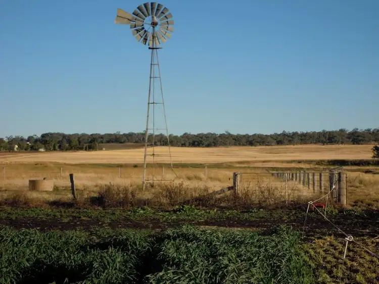 Seventh view of Homely rural property listing, 0 Old Elphinstone Road, Clifton QLD 4361