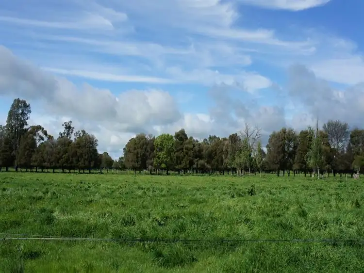 Sixth view of Homely rural property listing, 281 O'Donnell Road, Rochester VIC 3561