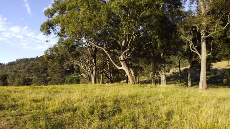 Seventh view of Homely rural property listing, Off Carrowbrook Road, Singleton NSW 2330