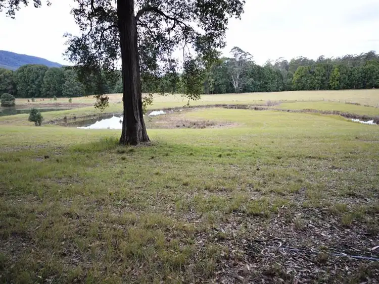 Sixth view of Homely rural property listing, 100 Randalls Road, Bucca NSW 2450