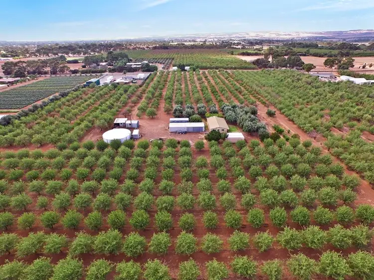 Lot 14 Wingate Road, Hillier SA 5116