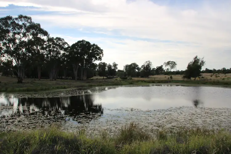 Third view of Homely rural property listing, 0 BURRADOO, Roma QLD 4455