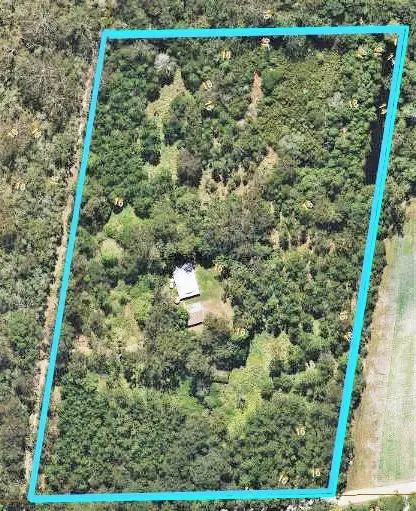Fourth view of Homely house listing, 313 Mawsons Road, Beerwah QLD 4519