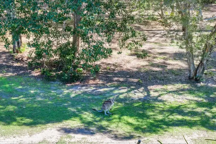 Seventh view of Homely house listing, 59/181 Lae Drive, Coombabah QLD 4216