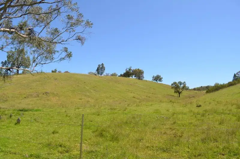 Main view of Homely rural property listing, Bora Bora Link Road, Dinoga NSW 2404