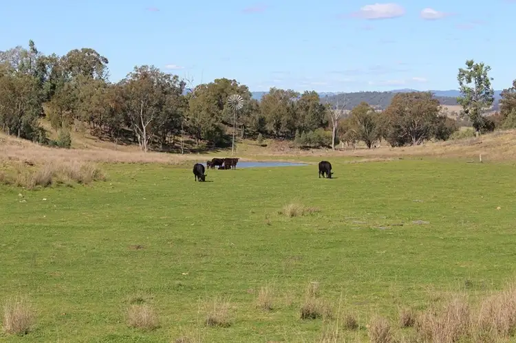Fifth view of Homely rural property listing, 244 Sheep Station Creek Road, Bingara NSW 2404
