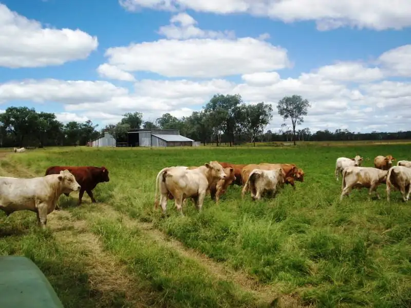 Main view of Homely rural property listing, 18 Cania Road, Monto QLD 4630