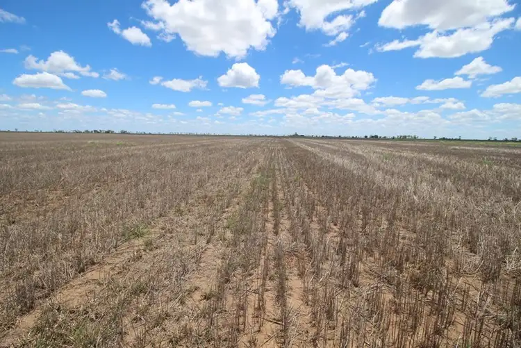 Fourth view of Homely rural property listing, 00 Tates Road, Bowenville QLD 4404