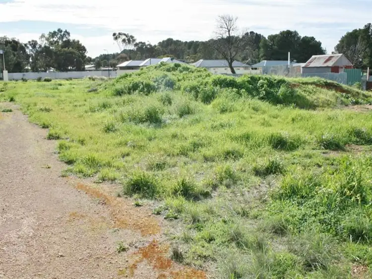 Sixth view of Homely land listing, 22 South East Terrace, Snowtown SA 5520