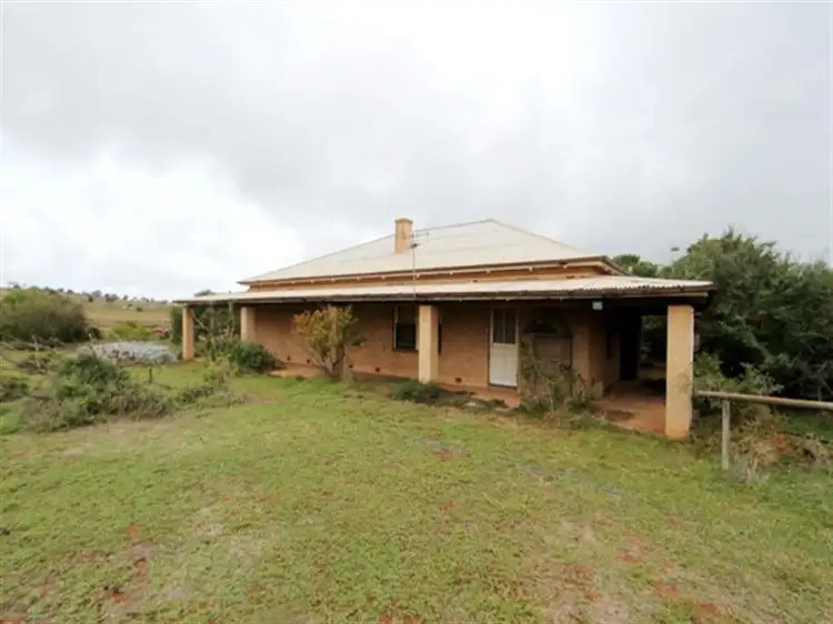 Third view of Homely rural property listing, 4 Sections Hundred of Hawker, Cowell SA 5602