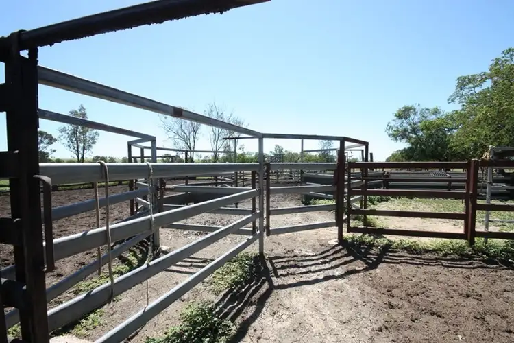 Sixth view of Homely rural property listing, 11657 Fitzroy Development Road, Bauhinia QLD 4718