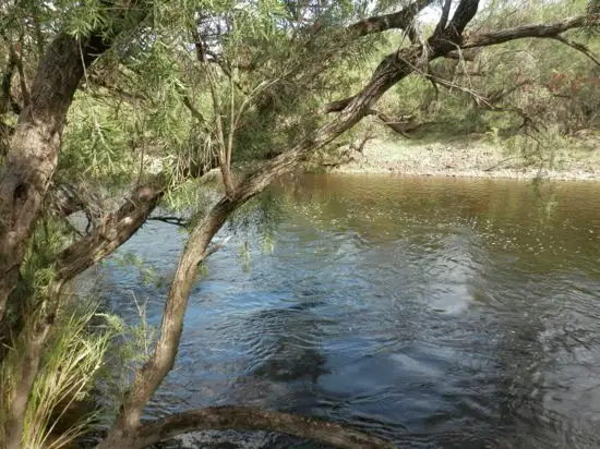 Lot 9, 1534 Paddys Flat Rd, Tabulam NSW 2469