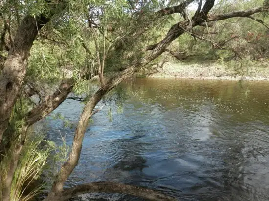 Main view of Homely rural property listing, Lot 9, 1534 Paddys Flat Rd, Tabulam NSW 2469