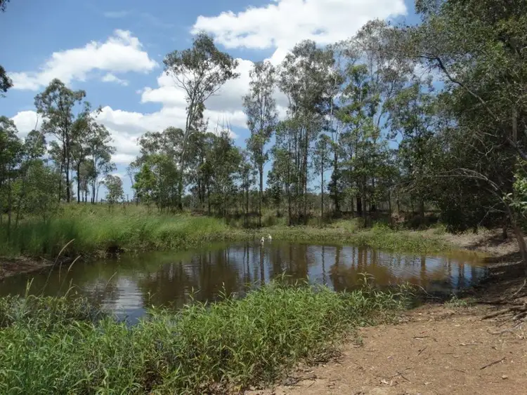 Third view of Homely rural property listing, 909 Hills Road, Mount Maria QLD 4674