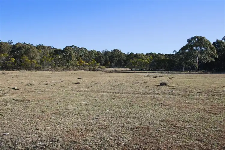 Sixth view of Homely rural property listing, 1331 Mount Mackenzie Road, Tenterfield NSW 2372