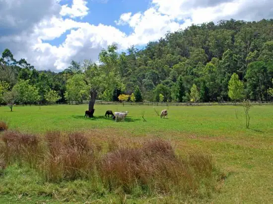 Second view of Homely rural property listing, 845 Murray's Run Road, Laguna NSW 2325