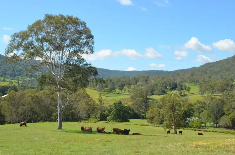 202 Aherns Road Conondale Via, Maleny QLD 4552