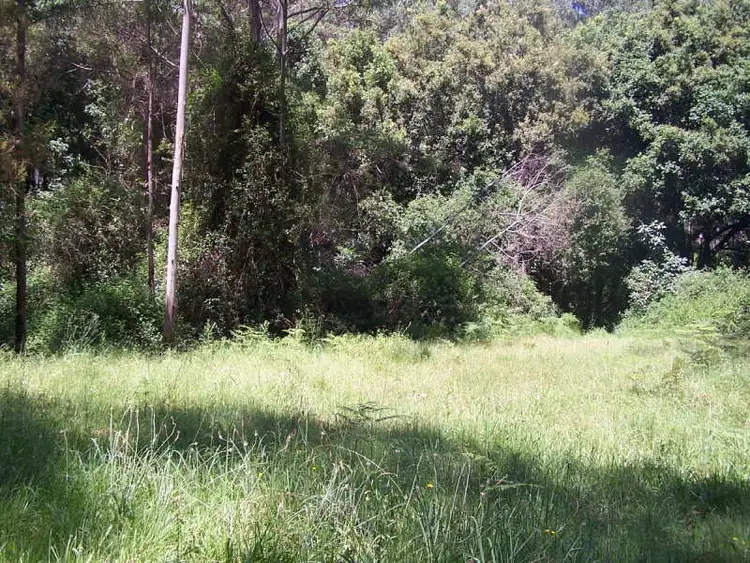 Second view of Homely rural property listing, Lot 9 Candoormakh Creek Road, Nabiac NSW 2312