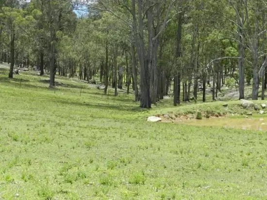 Fifth view of Homely house listing, 261 Mitchell Park Road, Cattai NSW 2756