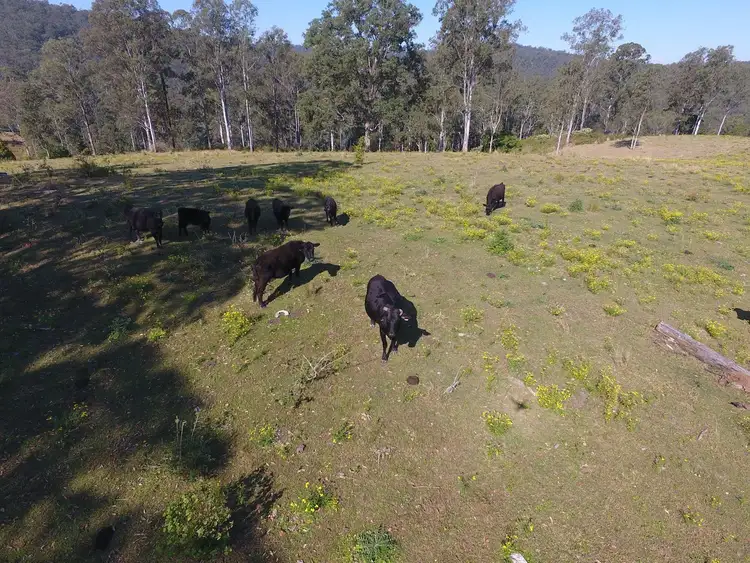 Second view of Homely rural property listing, 283 O'Neills Road, Bentley NSW 2480